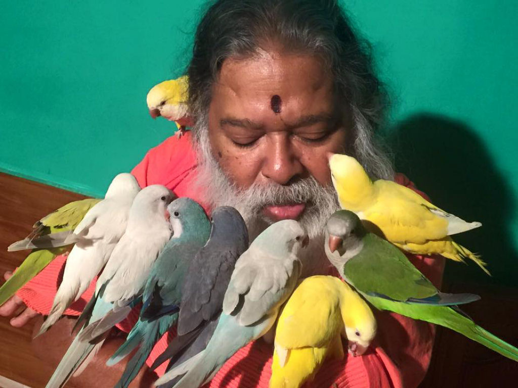 Senhor dos Pssaros - Indiano dedica sua vida para salvar pssaros ameaados e abandonados