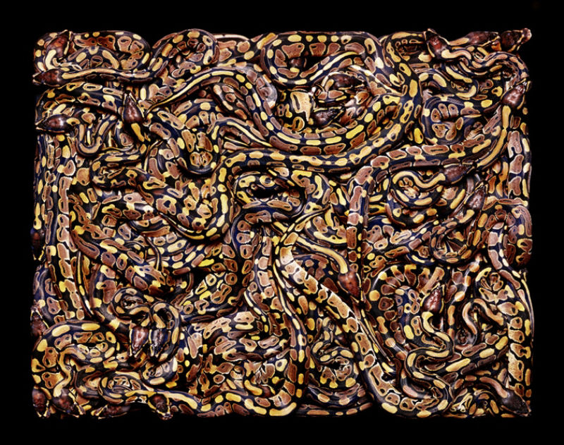 Serpentes, a srie 03