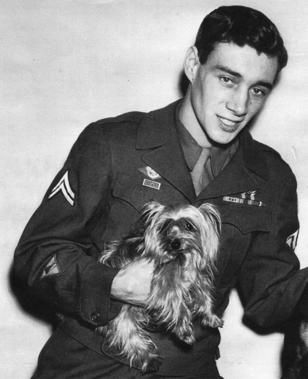 Ces de guerra - Smoky uma pequena Yorkshire Terrier que salvou 250 soldados na Segunda Guerra Mundial