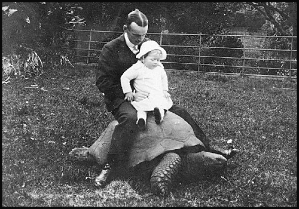 Jonathan, a tartaruga fotografada em 1902 e hoje 03