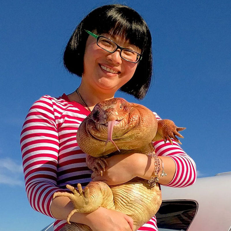 Este lagarto do tamanho de um cão é a última sensação entre as mascotes de Instagram 03