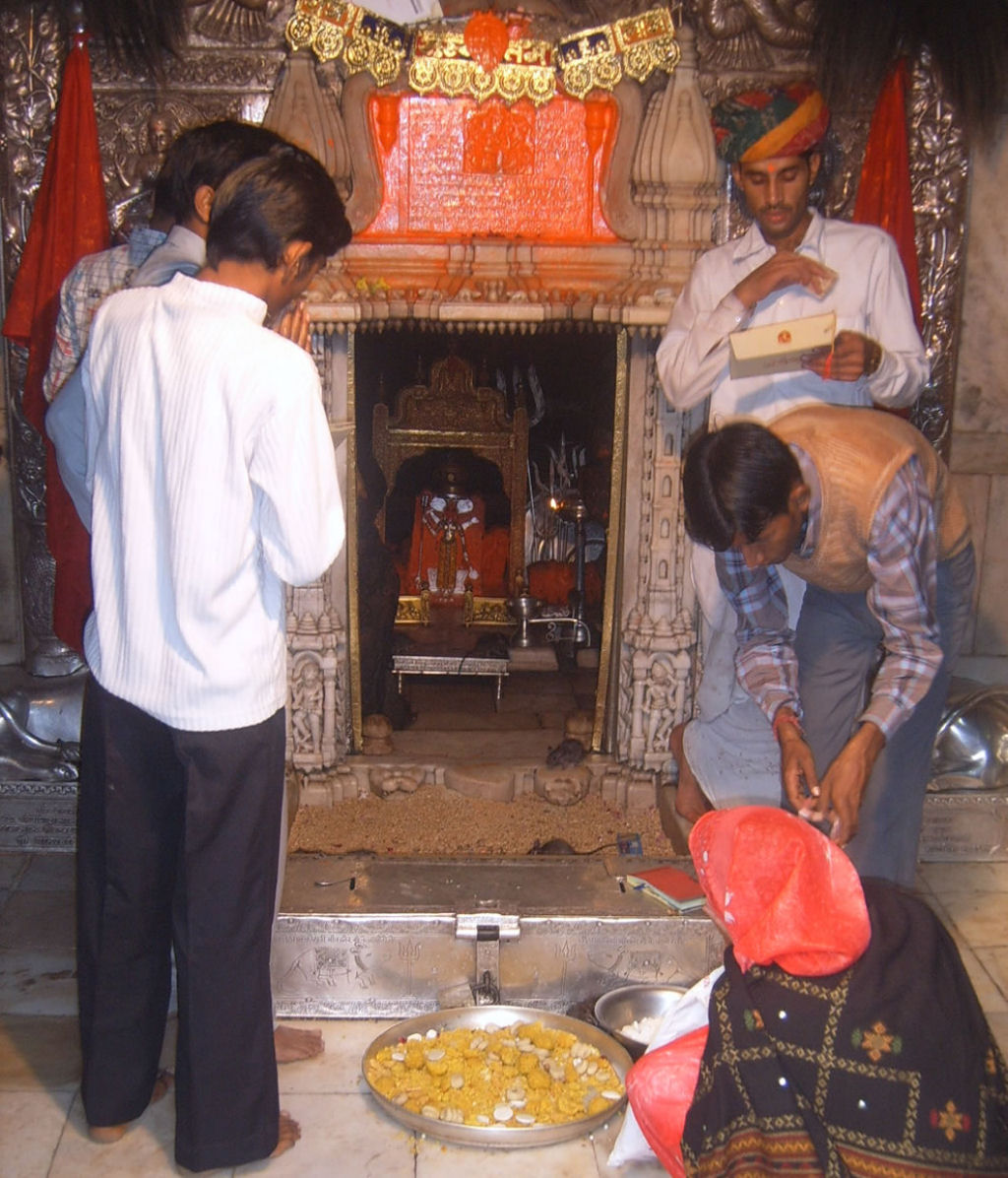 Bem-vindo ao templo Karni Mata, onde as pessoas vão adorar 20.000 ratos 02