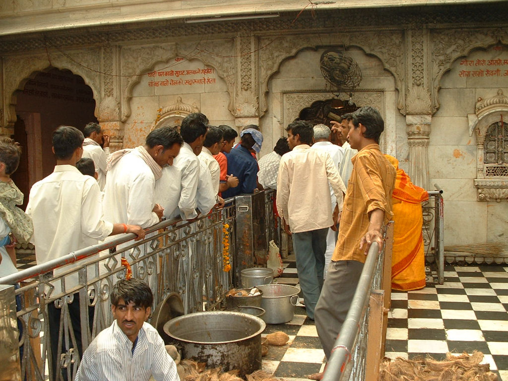 Bem-vindo ao templo Karni Mata, onde as pessoas vão adorar 20.000 ratos 20