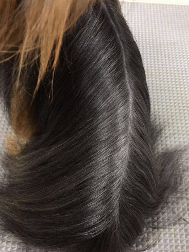 Esta groomer japonesa transforma ces em verdadeiros bichinhos de pelcia 24