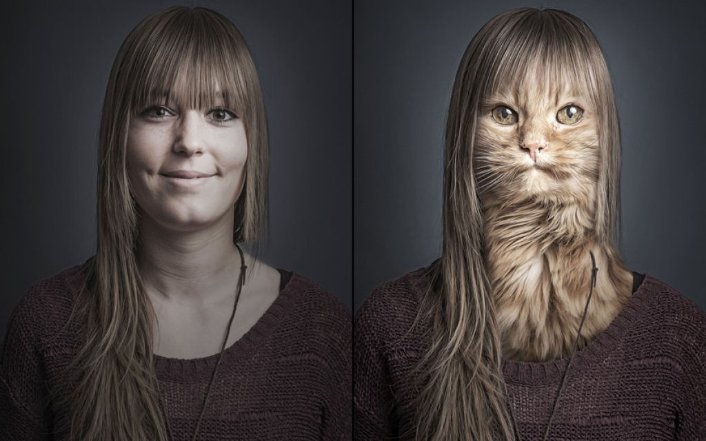 Retratos engraçados de gatos vestidos como seus humanos 03