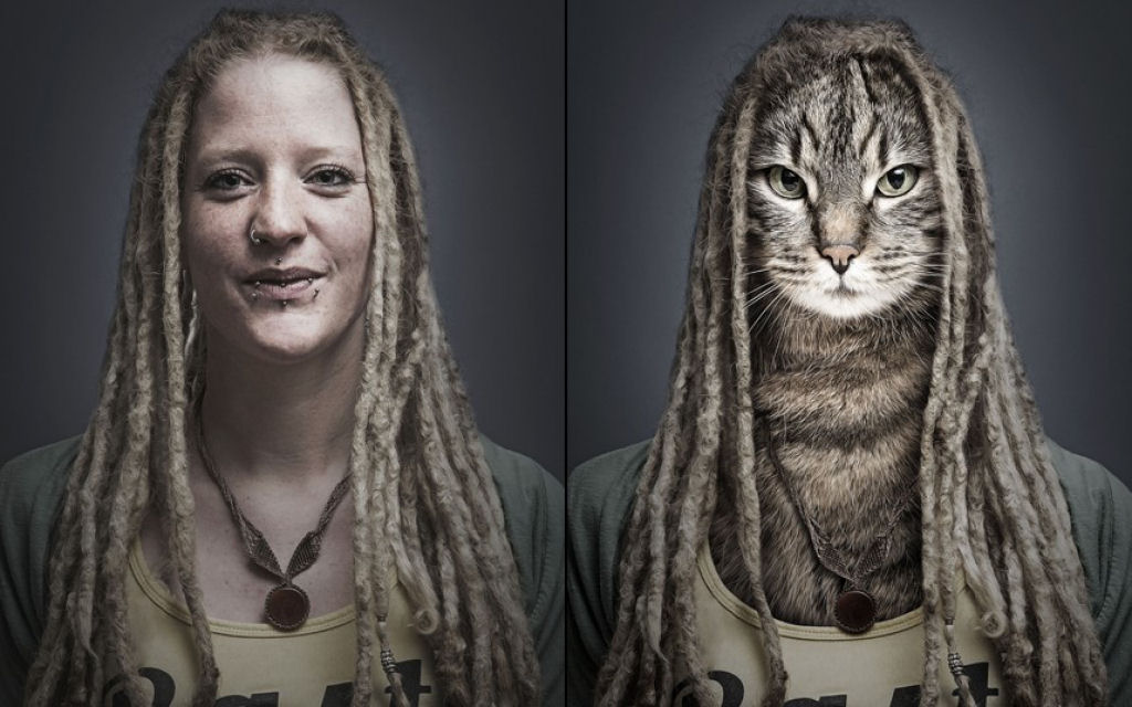 Retratos engraçados de gatos vestidos como seus humanos 08