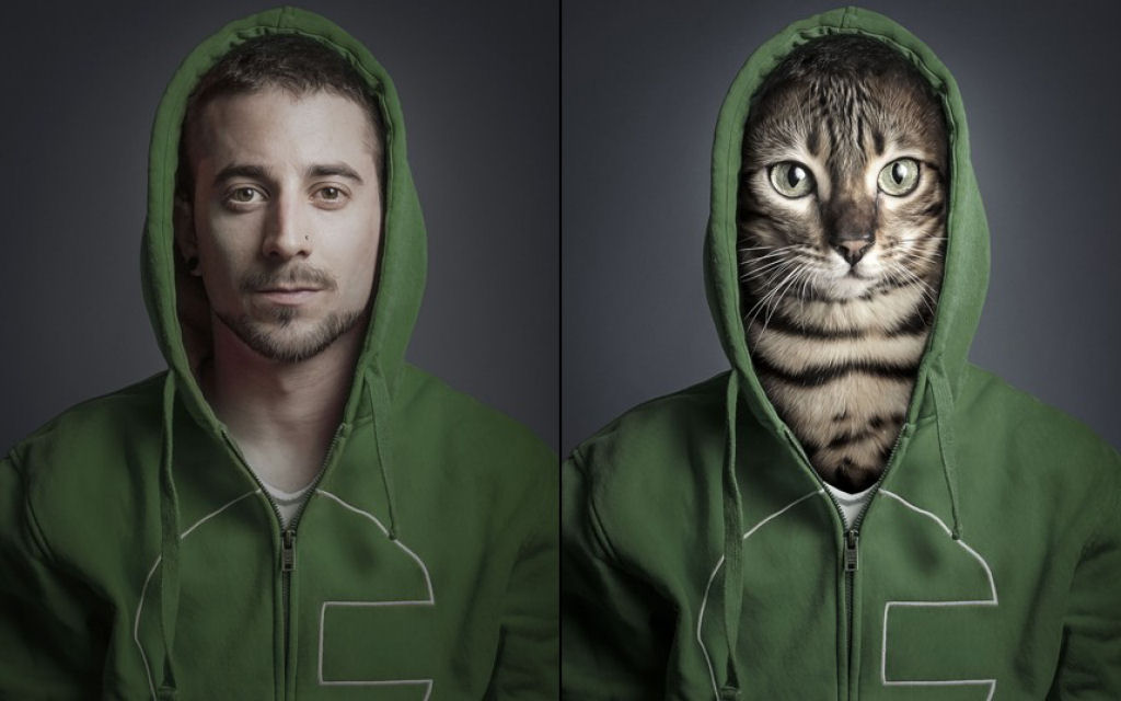 Retratos engraçados de gatos vestidos como seus humanos 09