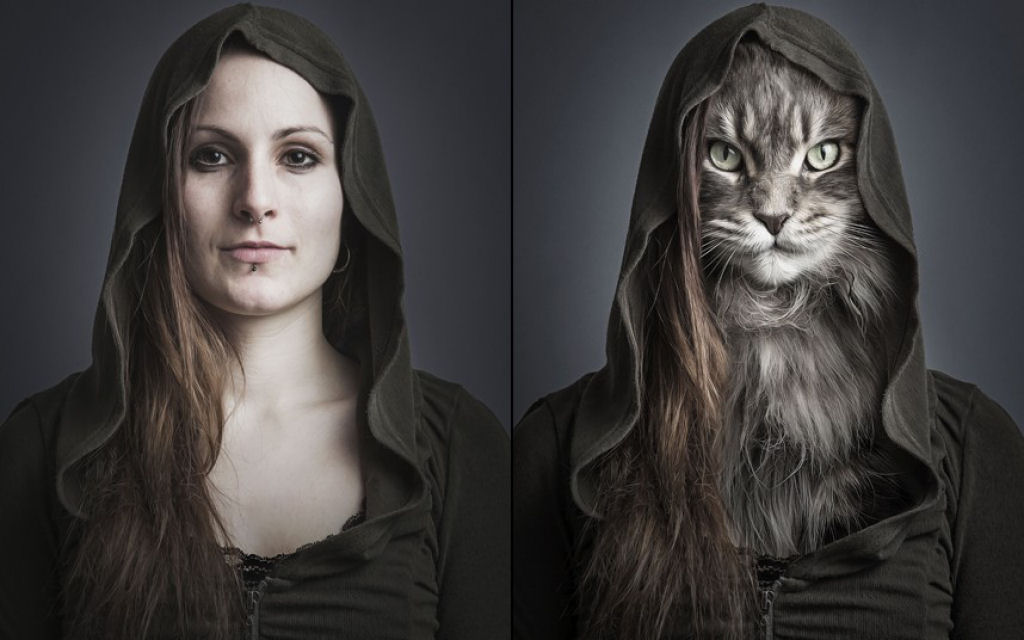 Retratos engraçados de gatos vestidos como seus humanos 11