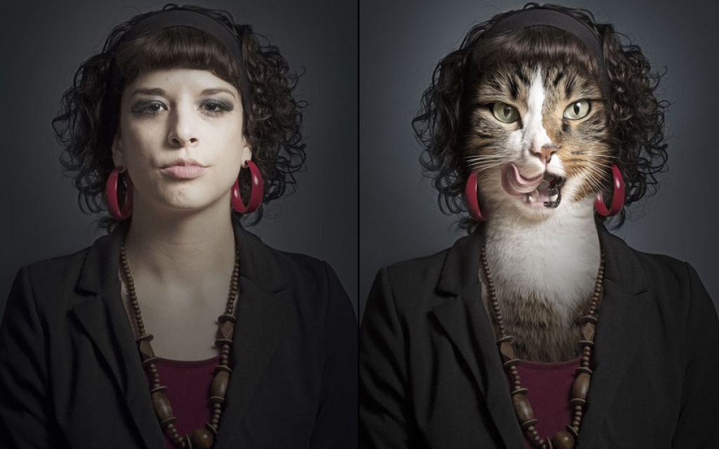 Retratos engraçados de gatos vestidos como seus humanos 12
