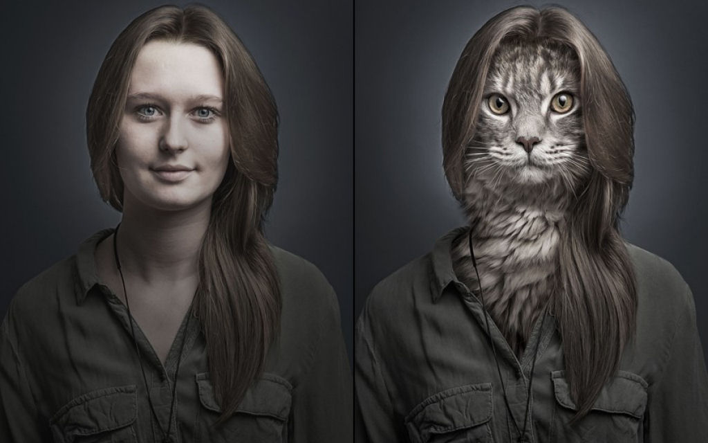 Retratos engraçados de gatos vestidos como seus humanos 13