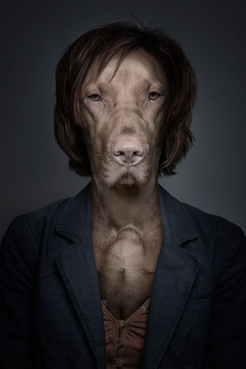 Retratos engraçados de cães vestidos como seres humanos 04