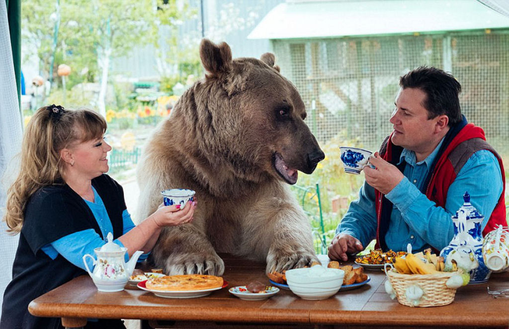 Casal russo adotou um urso rfo faz 23 anos, e eles ainda criam o menino 01