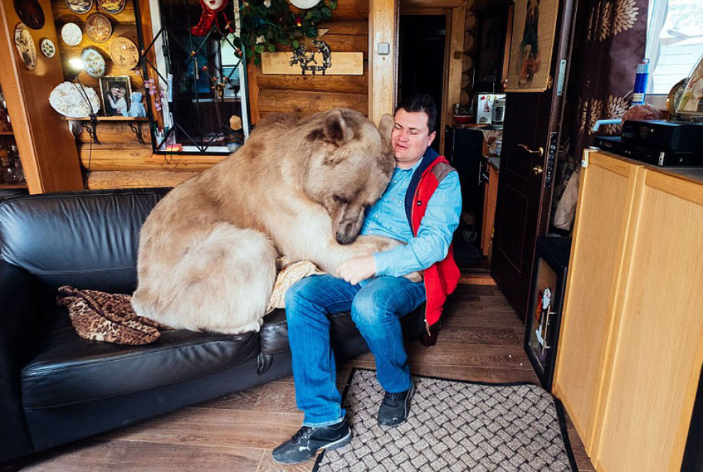 Casal russo adotou um urso rfo faz 23 anos, e eles ainda criam o menino 02