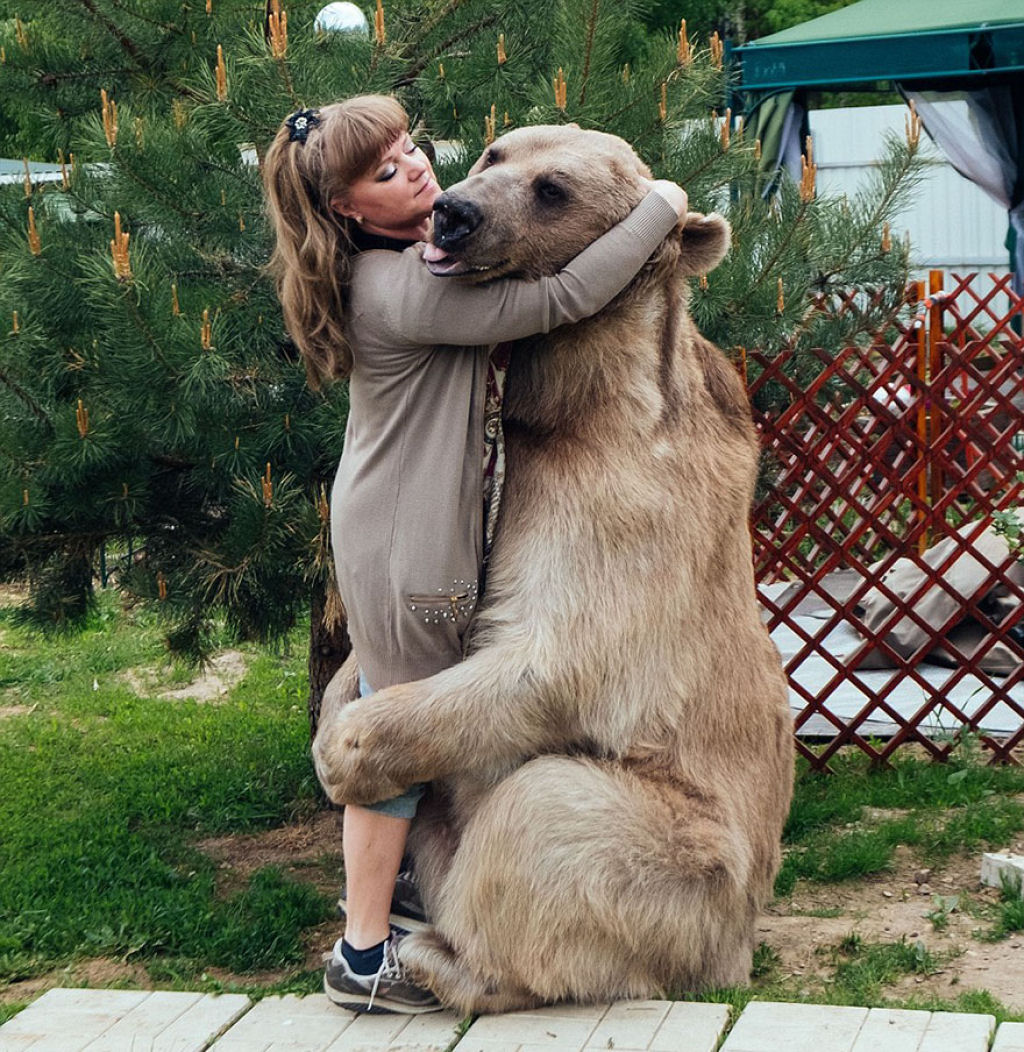 Casal russo adotou um urso rfo faz 23 anos, e eles ainda criam o menino 03