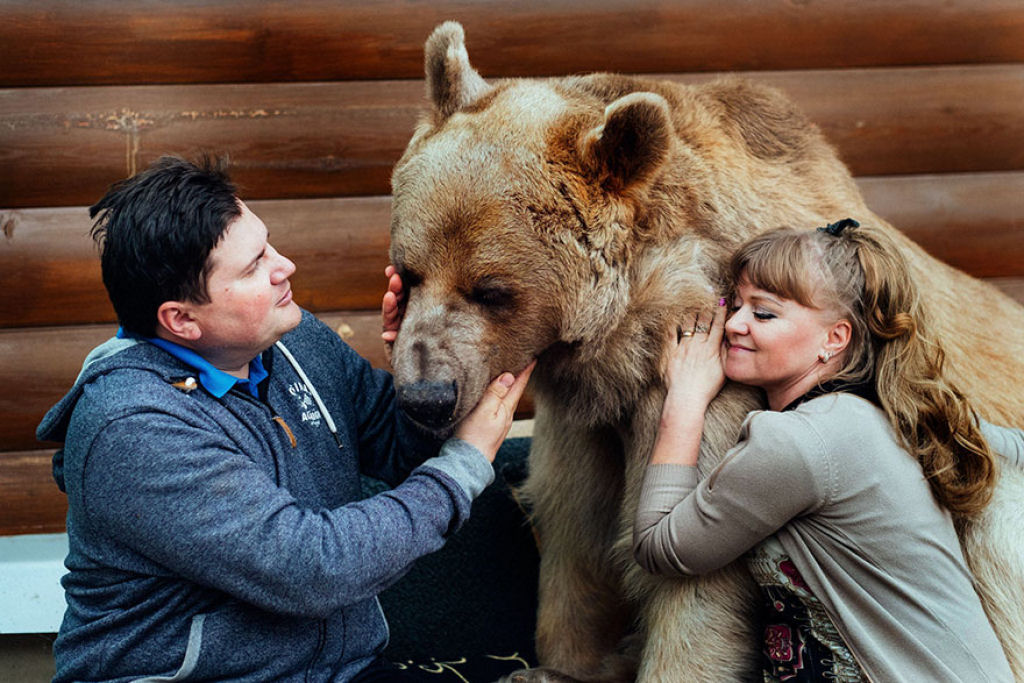 Casal russo adotou um urso rfo faz 23 anos, e eles ainda criam o menino 05