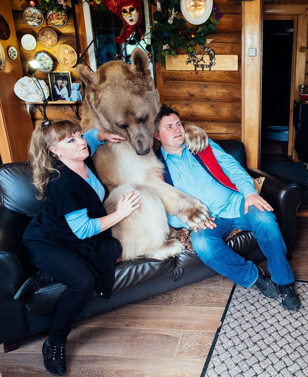 Casal russo adotou um urso rfo faz 23 anos, e eles ainda criam o menino 06