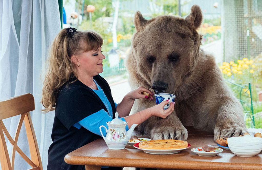 Casal russo adotou um urso rfo faz 23 anos, e eles ainda criam o menino 08