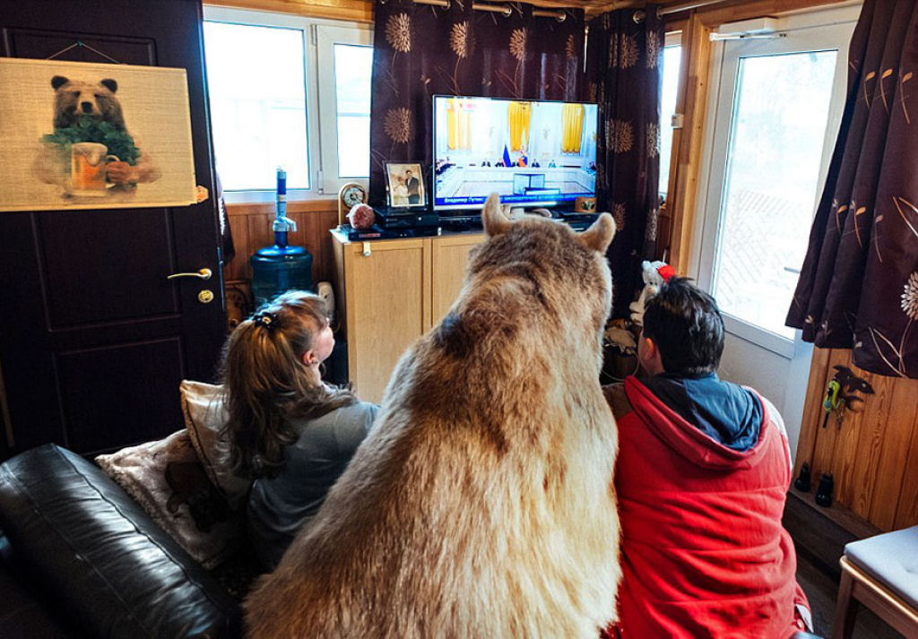 Casal russo adotou um urso rfo faz 23 anos, e eles ainda criam o menino 09