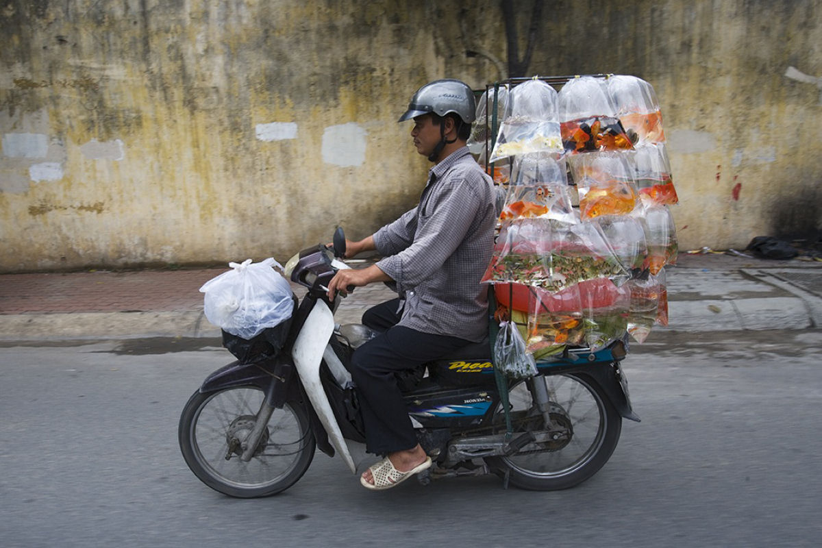 Motoqueiros vietnamitas e as coisas incrveis que eles carregam 07