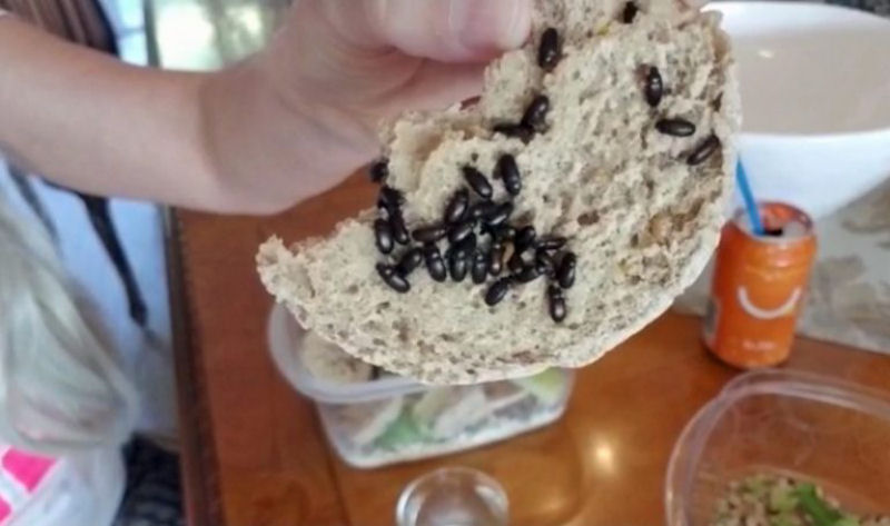 Argentina come insetos vivos todos os dias como forma de prevenir o cncer