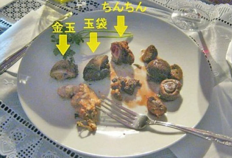 Artista japons prepara banquete com os prprios genitais