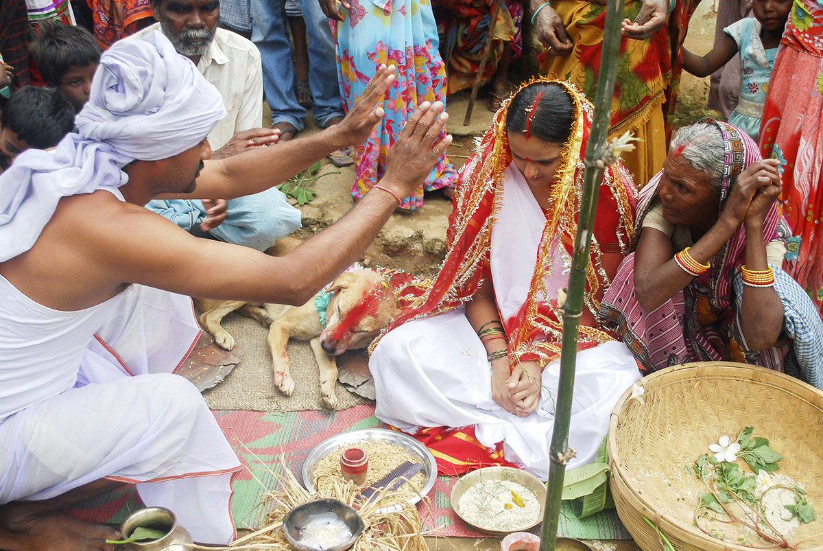 Jovem indiana se casa com um co em bizarro ritual de boa sorte 04