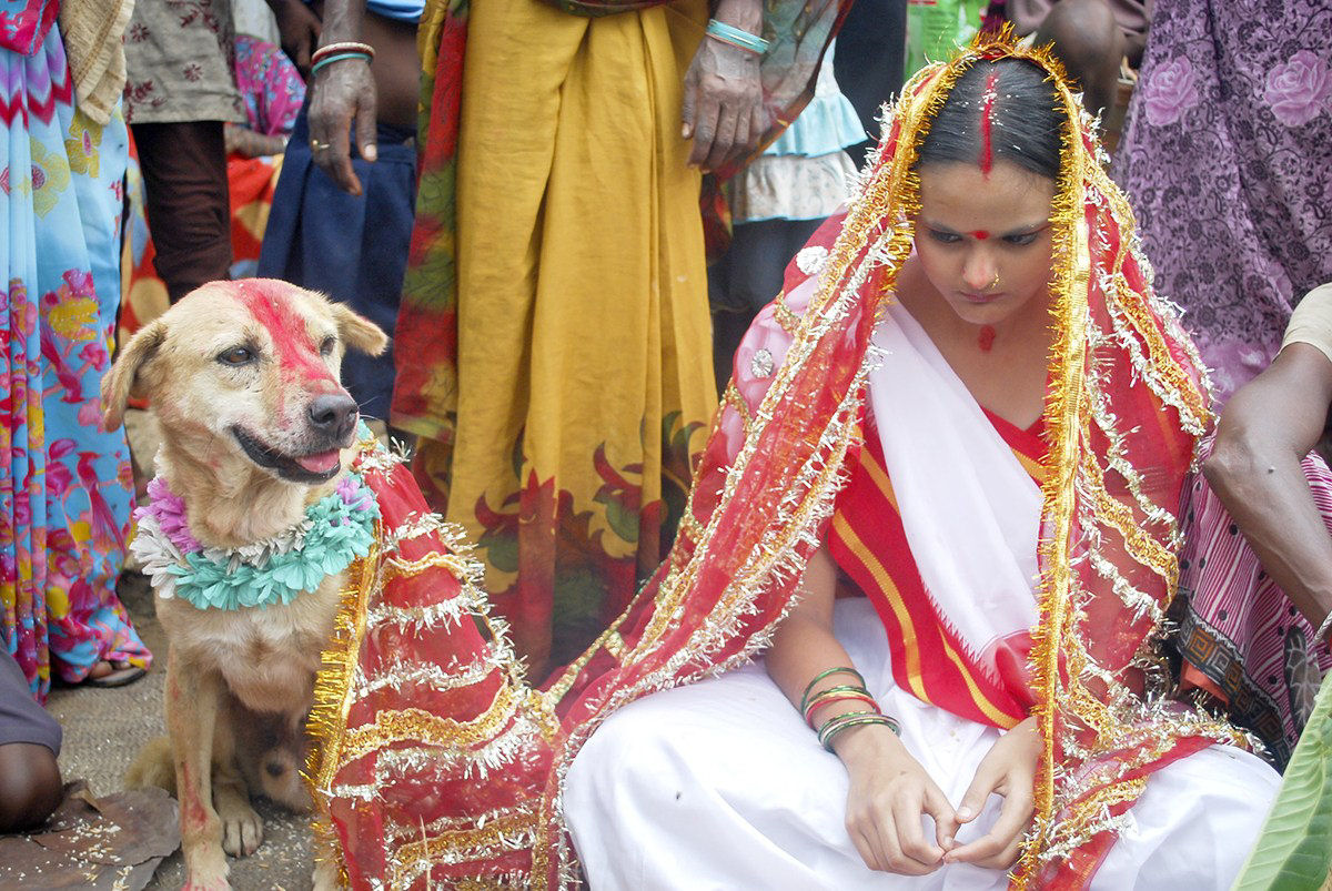 Jovem indiana se casa com um co em bizarro ritual de boa sorte 05