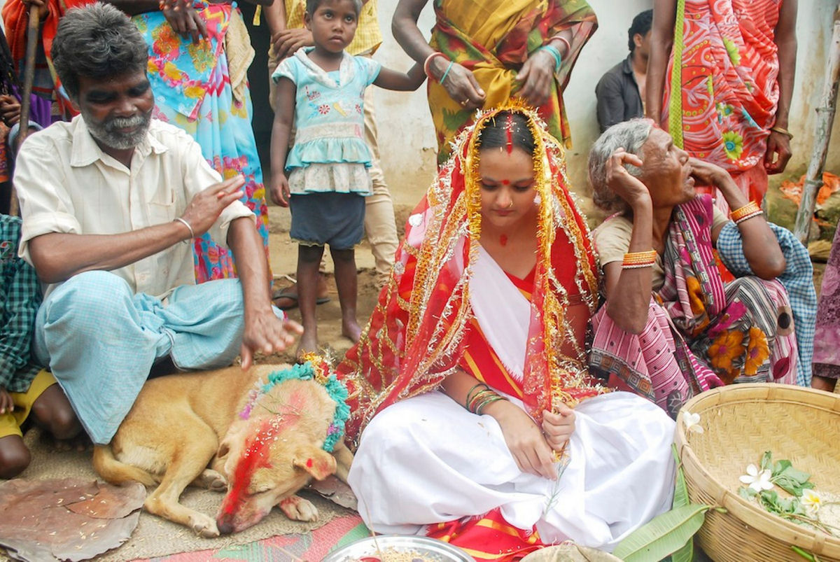Jovem indiana se casa com um co em bizarro ritual de boa sorte 07