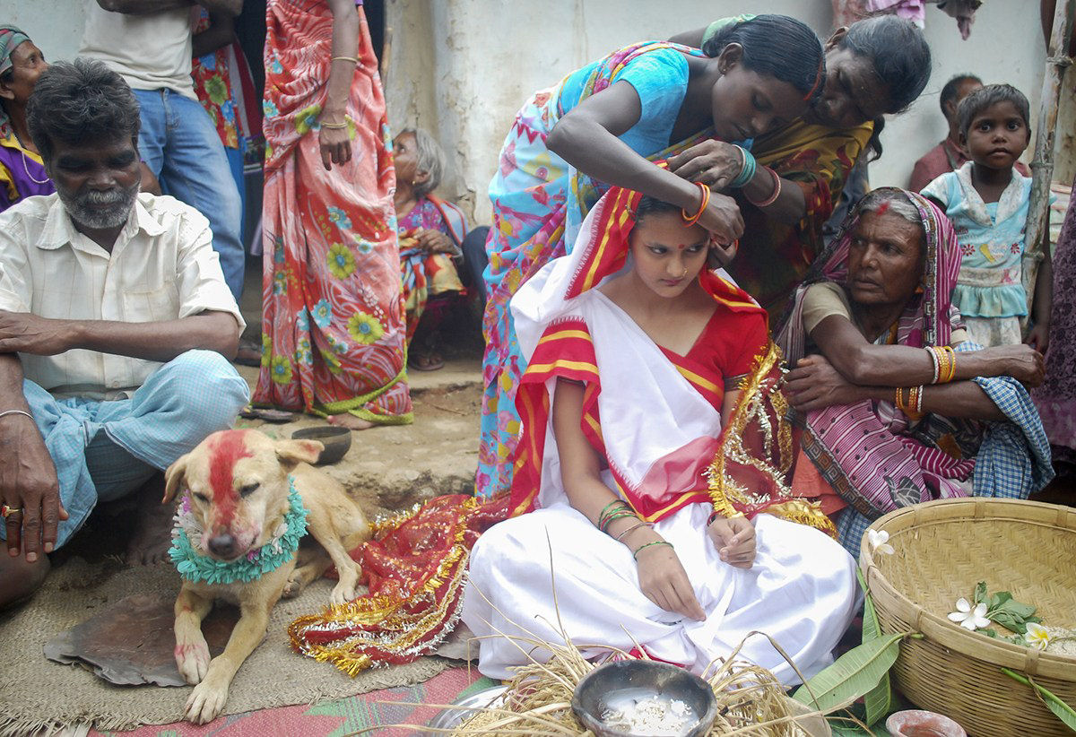 Jovem indiana se casa com um co em bizarro ritual de boa sorte 08