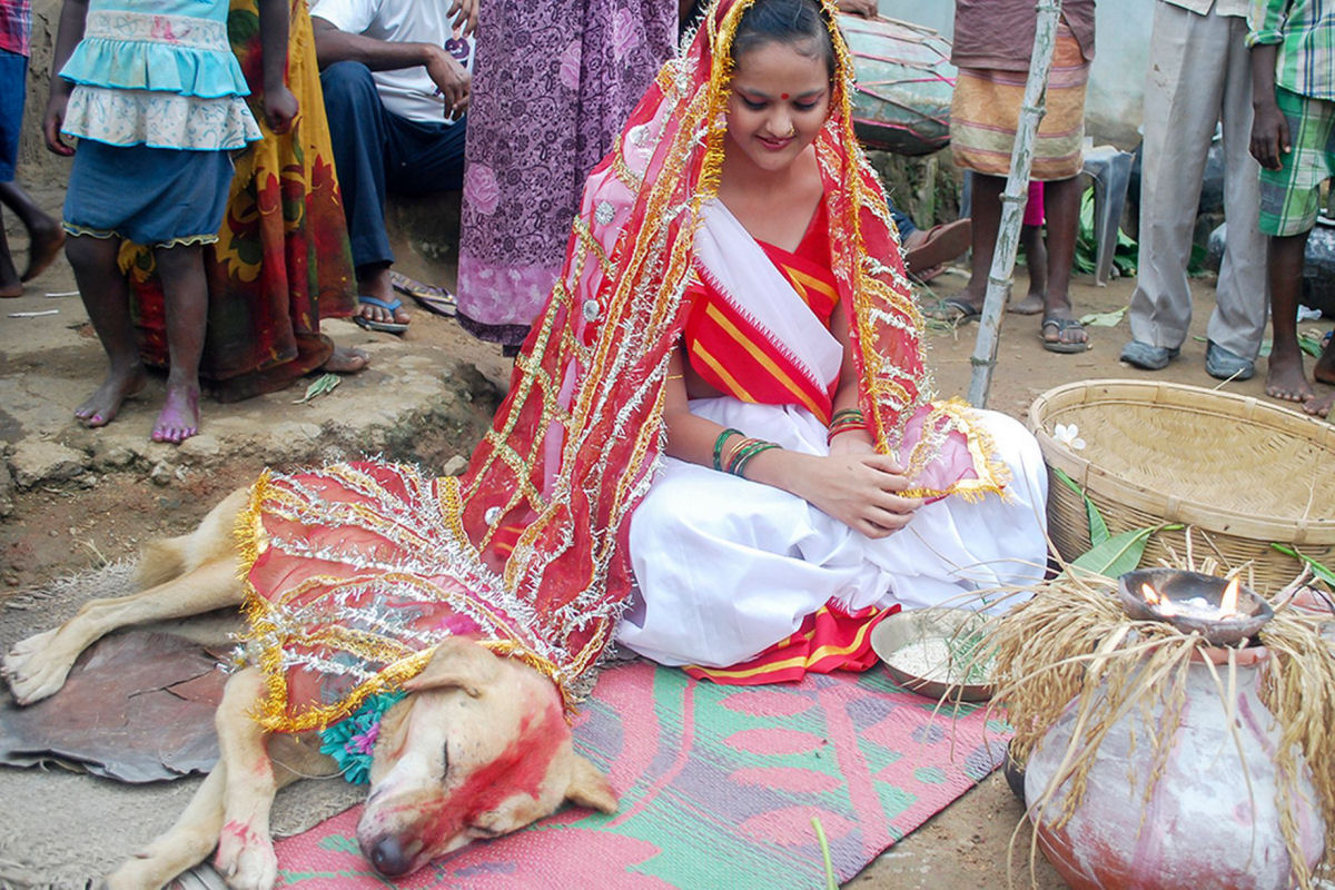 Jovem indiana se casa com um co em bizarro ritual de boa sorte 09