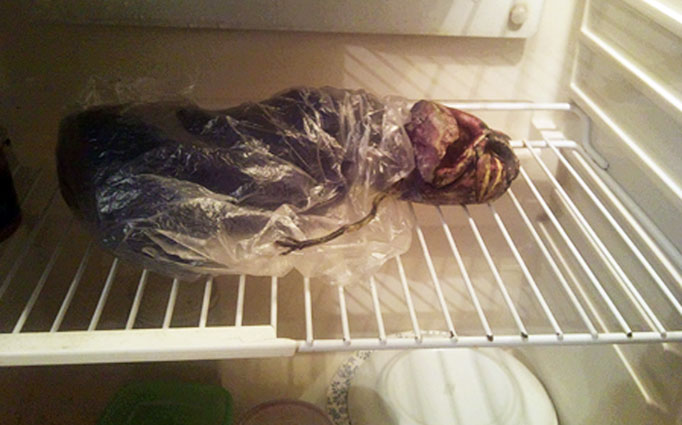 Mulher afirma ter um ET congelado na sua geladeira