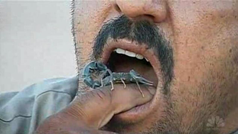Agricultor iraquiano viciado em comer escorpião
