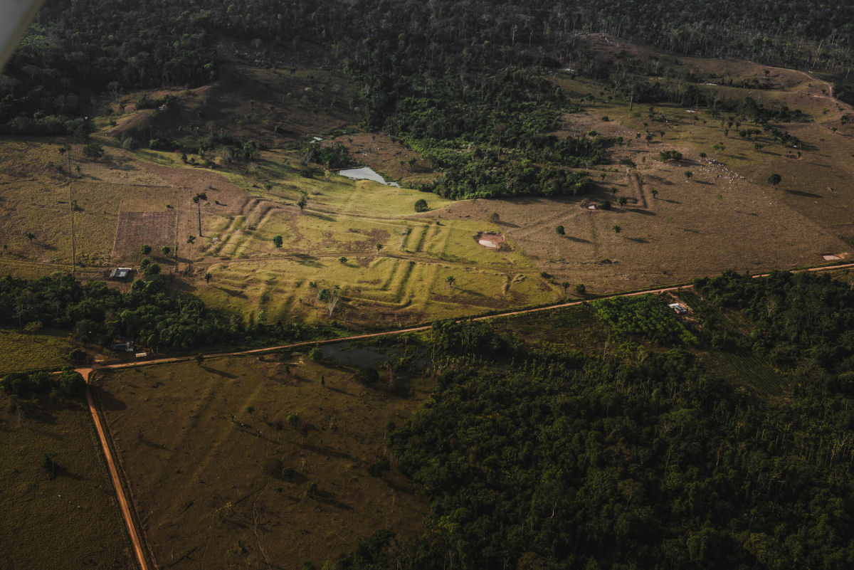 Terraplenagens indgenas ocultas na Amaznia revelam conexes humanas com a floresta ao longo de milnios