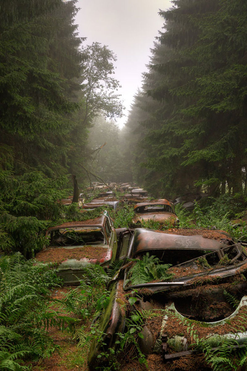 Um engarrafamento de 70 anos em uma floresta belga 01