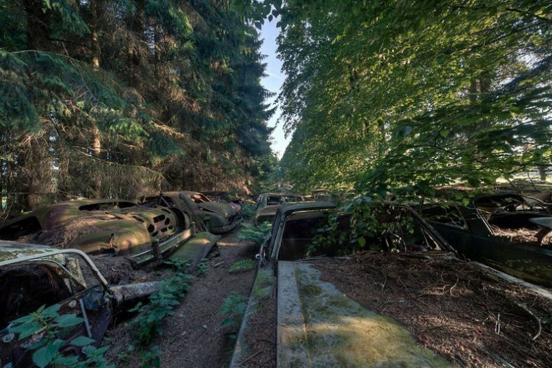 Um engarrafamento de 70 anos em uma floresta belga 04
