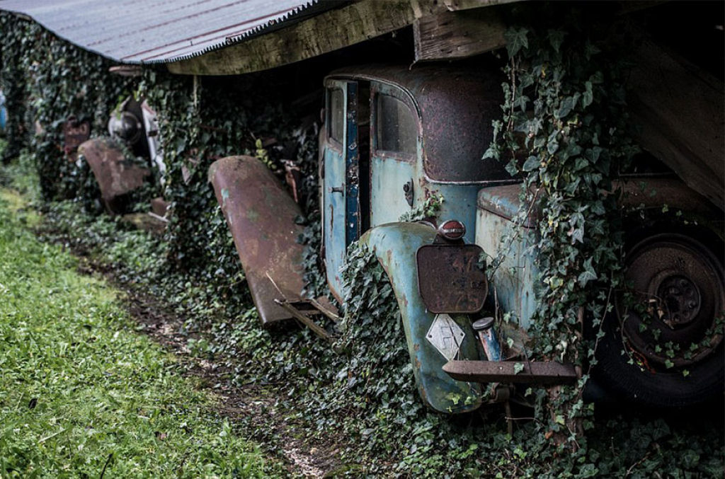 60 automveis clssicos abandonados a 50 anos em uma fazenda francesa valem ao menos 49 milhes de reais 15