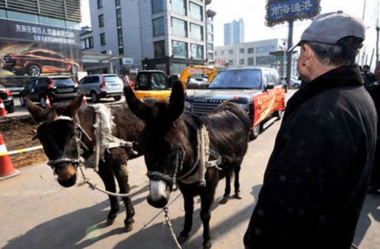 Homem usa burros para rebocar um SUV de luxo com defeito