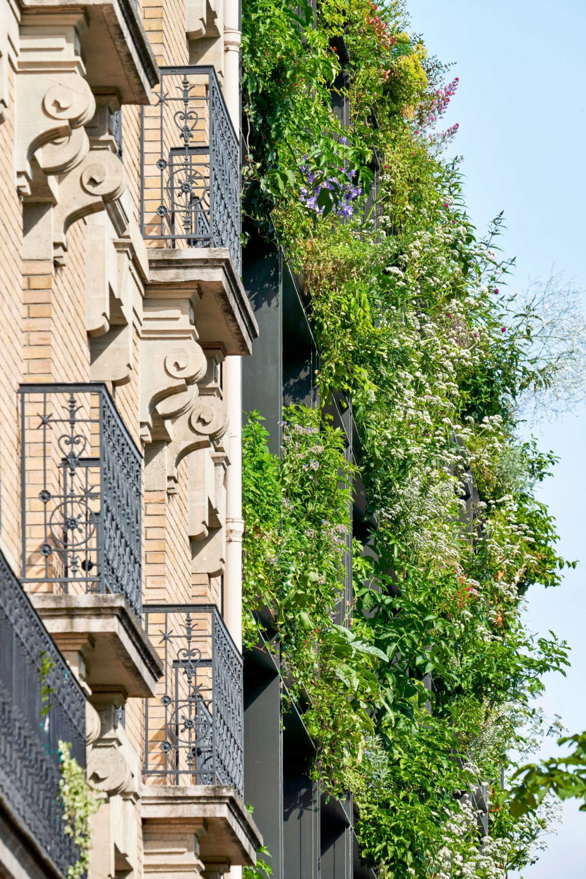 Um jardim vertical luxuriante brota de uma fachada minimalista repleta de janelas em Paris 03
