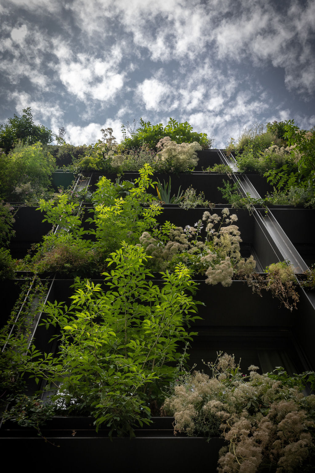 Um jardim vertical luxuriante brota de uma fachada minimalista repleta de janelas em Paris 15
