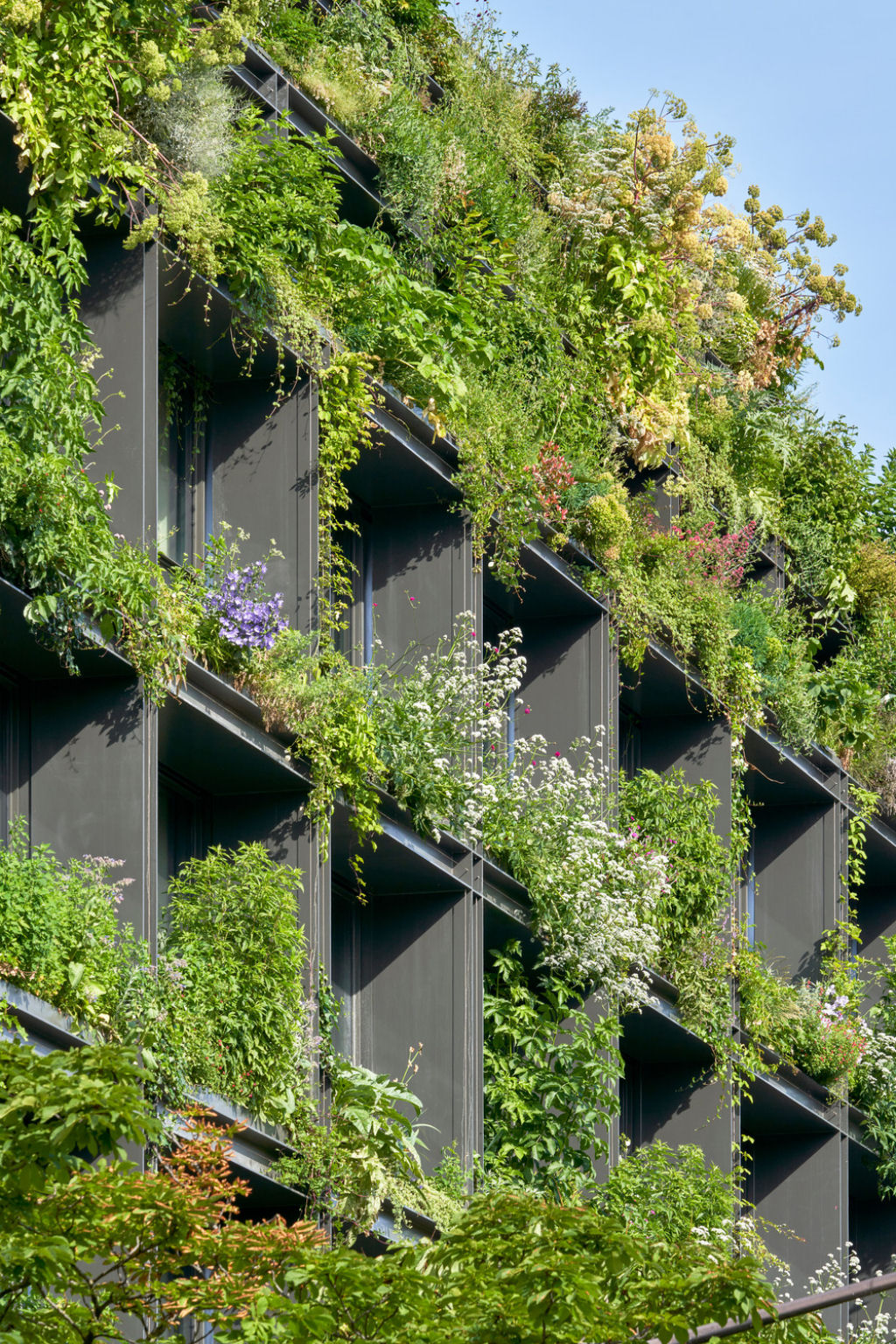 Um jardim vertical luxuriante brota de uma fachada minimalista repleta de janelas em Paris 16