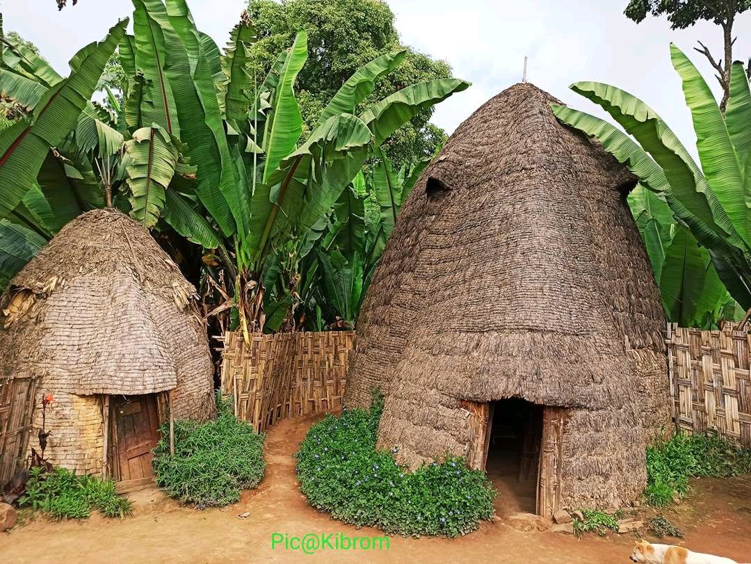 As cabanas de bambu trançado do povo Dorze, na Etiópia