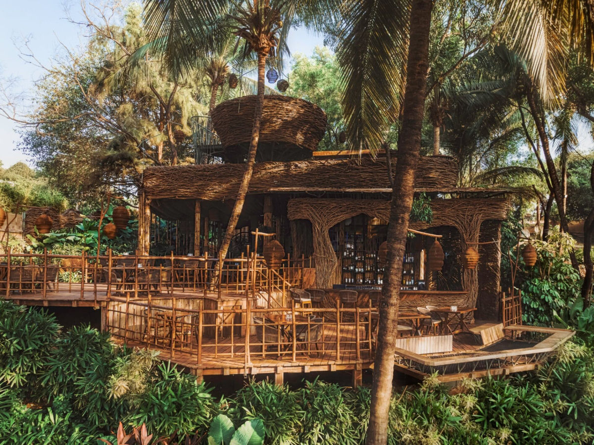 Restaurante feito com arbustos invasores na selva do norte de Goa tem ninhos empoleirados no seu topo