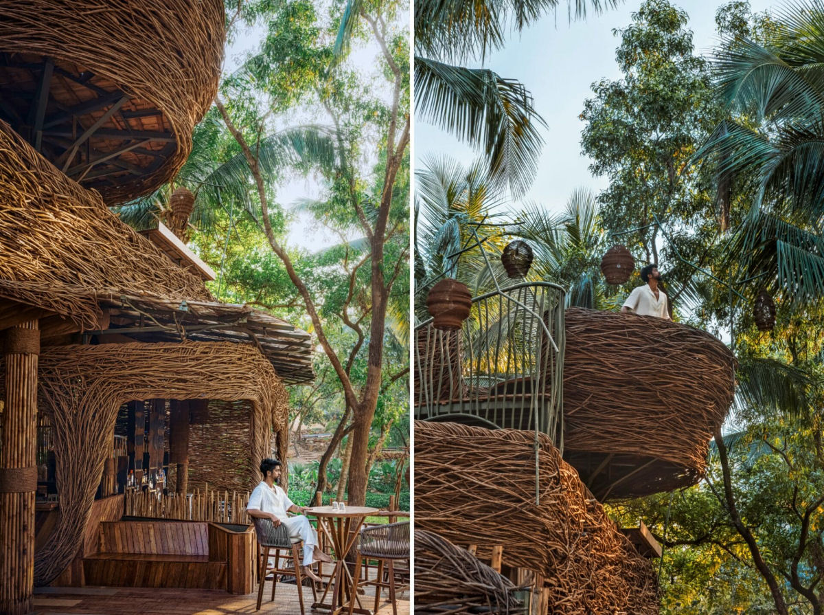 Restaurante feito com arbustos invasores na selva do norte de Goa tem ninhos empoleirados no seu topo