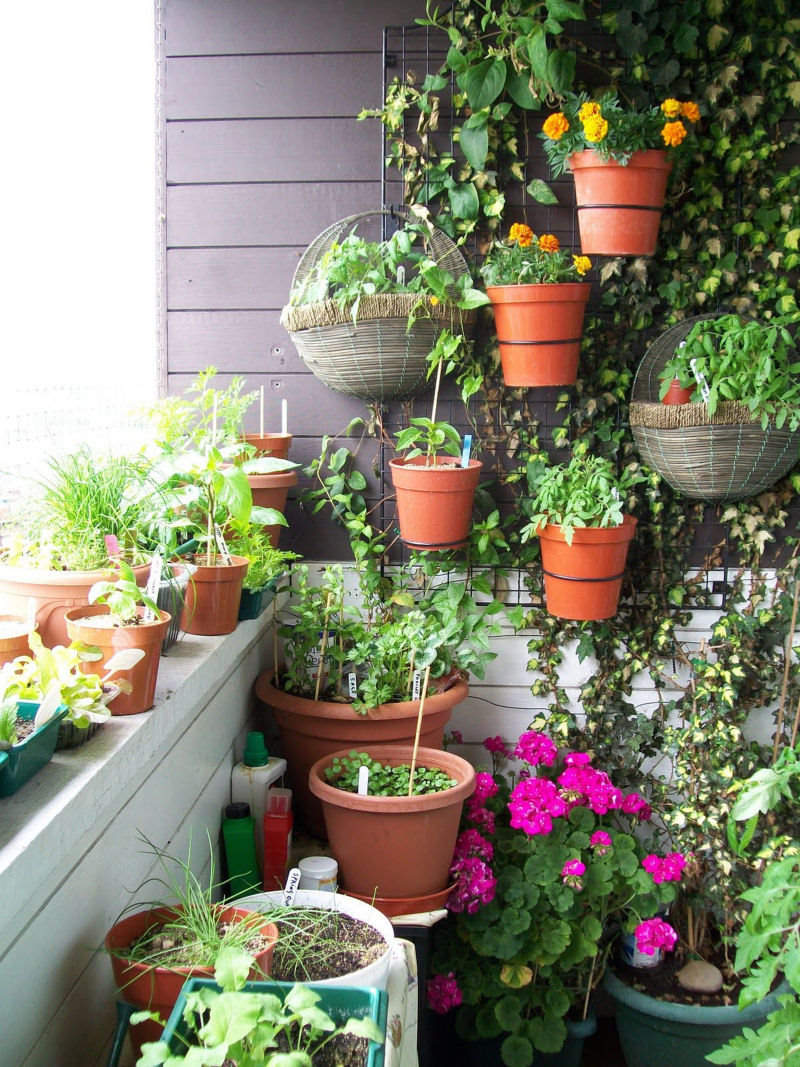 Pequenos jardins trazem conforto para seu lar 09
