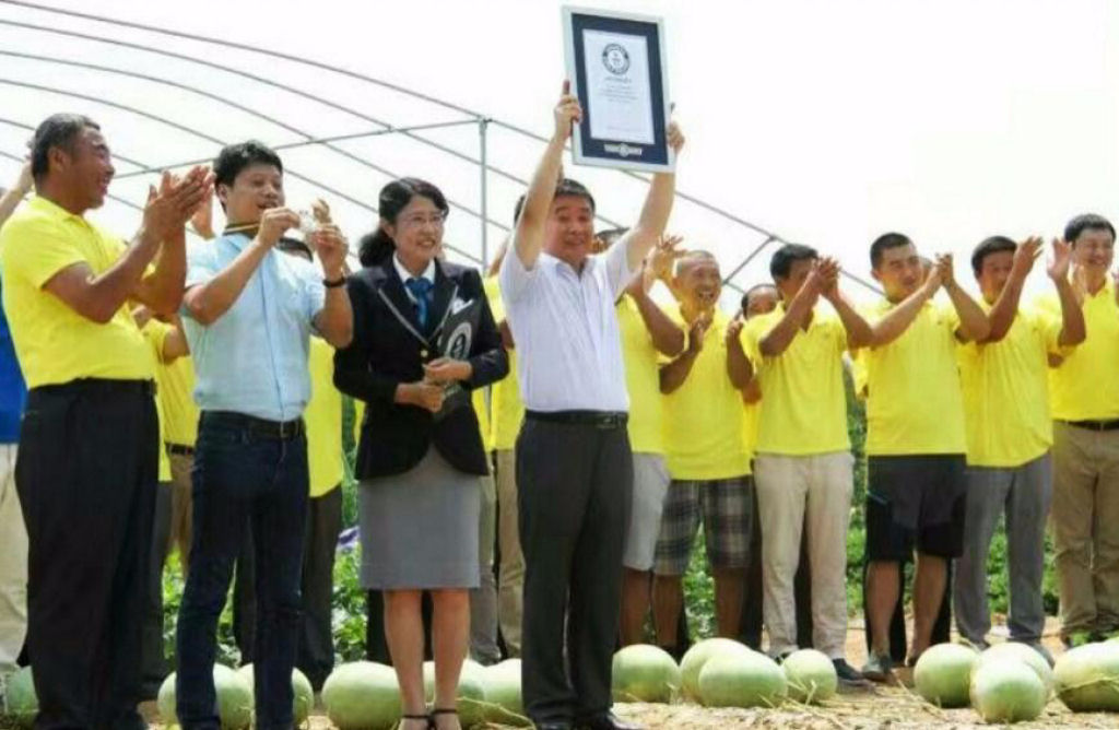 P de melancia rendeu 131 frutas em uma s colheita e estabelece novo recorde mundial