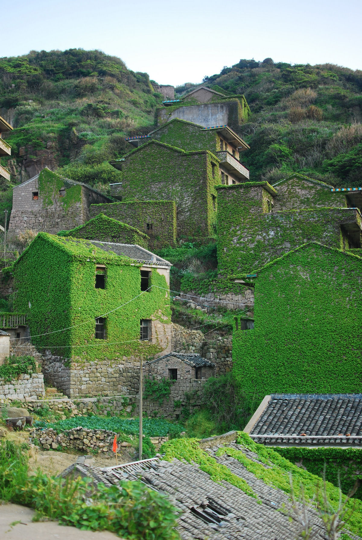 Esta aldeia de pescadores abandonada na China est sendo devorada pela natureza 02