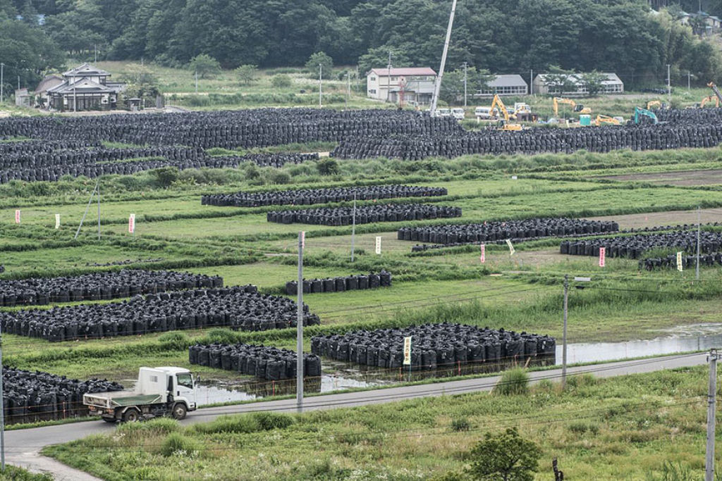 Estas imagens nunca vistas mostram a zona de exclusão de Fukushima devorada pela natureza 18