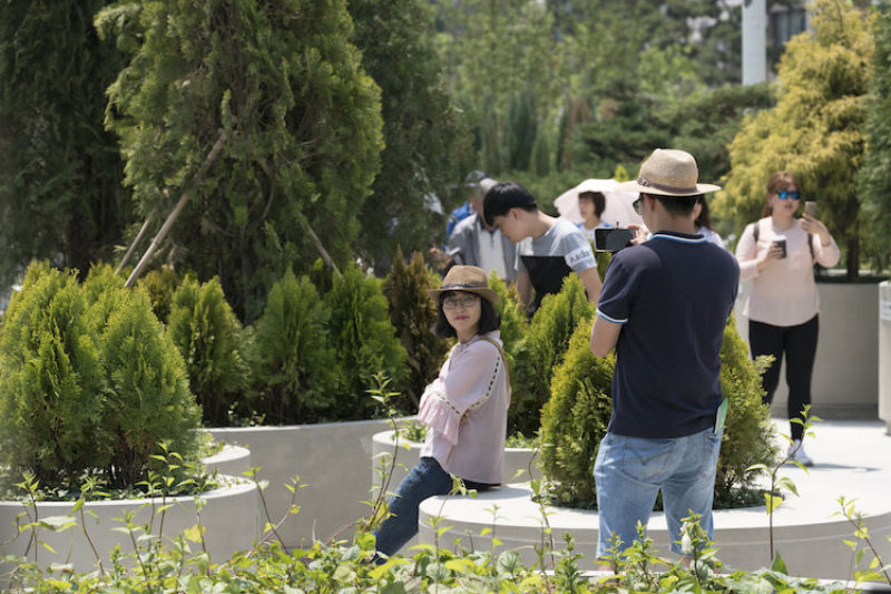 Elevado abandonado em Seul é transformado em parque com 24.000 plantas 11