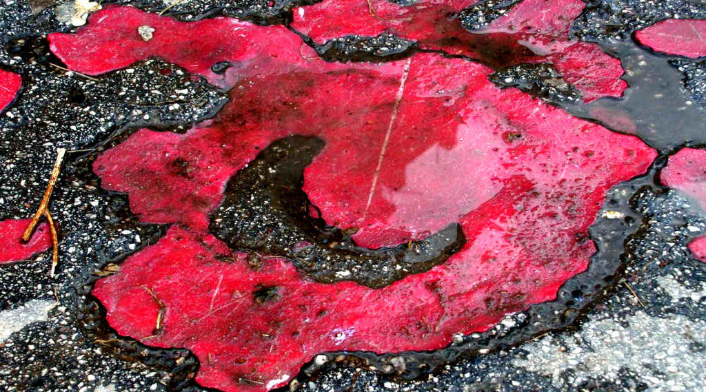 Rosas de Sarajevo - Memórias dolorosas da guerra gravadas no asfalto