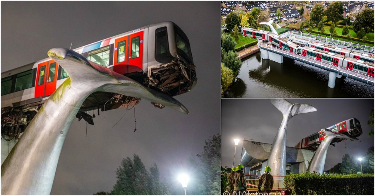 Trem descarrila e uma gigantesca obra de arte evita que caia de um elevado